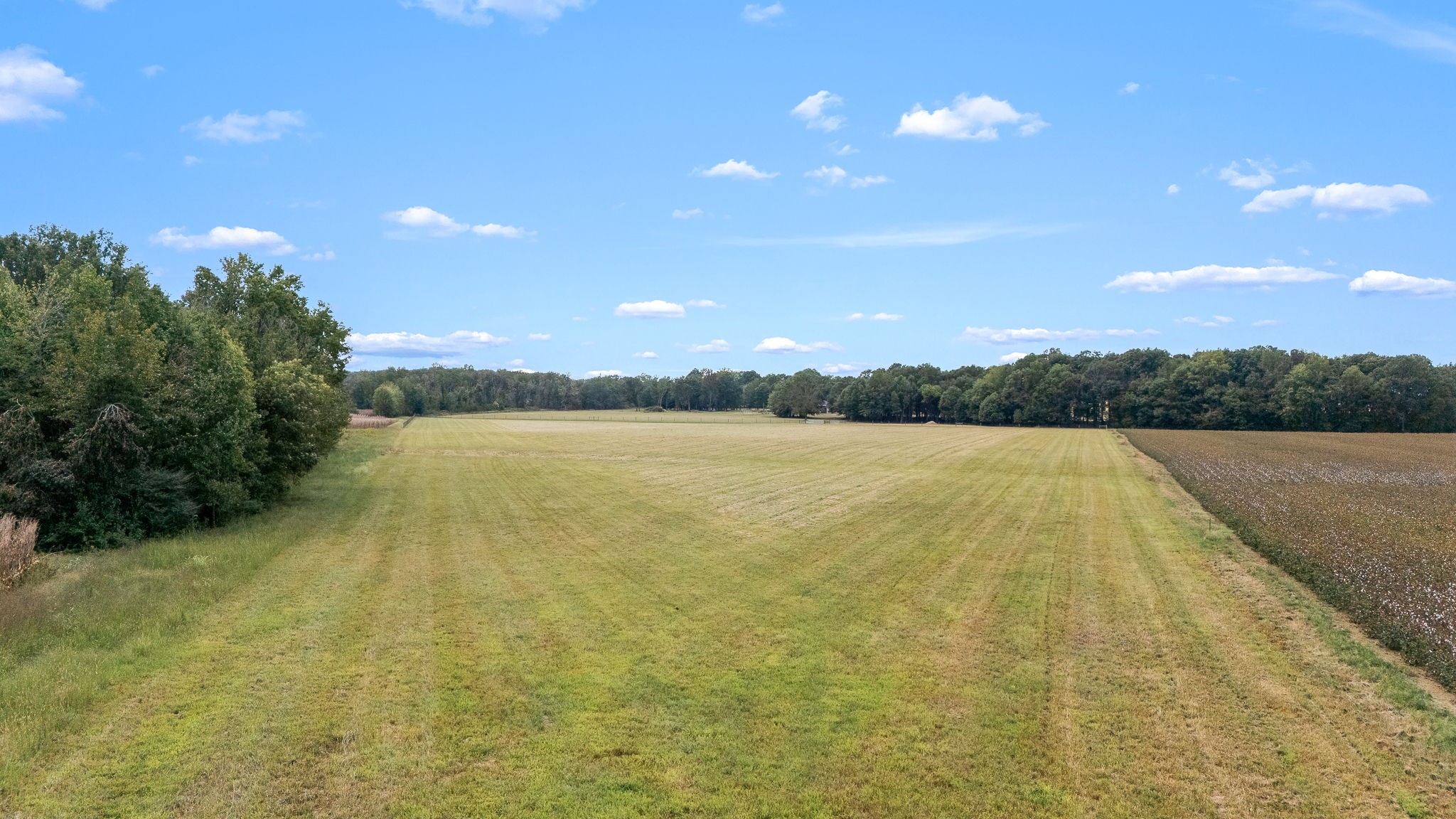 176 Terry Dunavan Road Elora, TN 37328 - Photo 80 of 85 a view of a lake and sunset