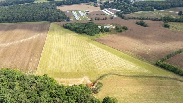 $900,000 | 176 Terry Dunavan Road, Elora, TN 37328