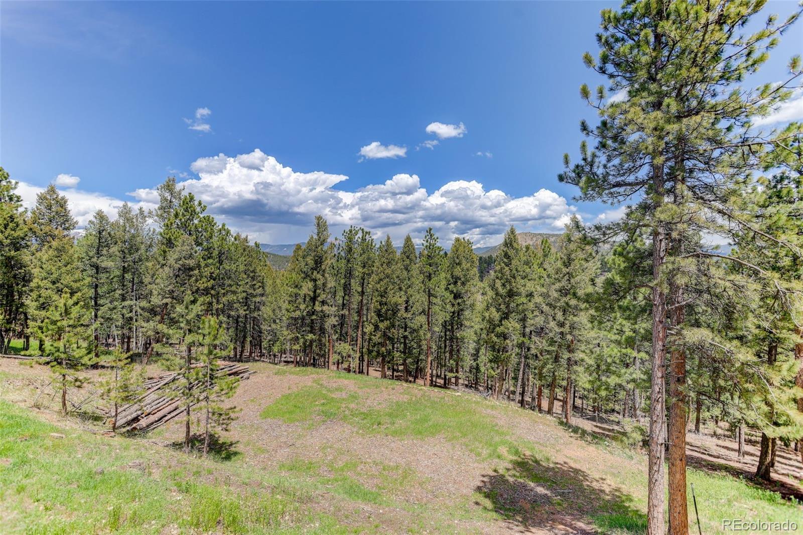 539 South Random Road Bailey, CO 80421 - Photo 38 of 46