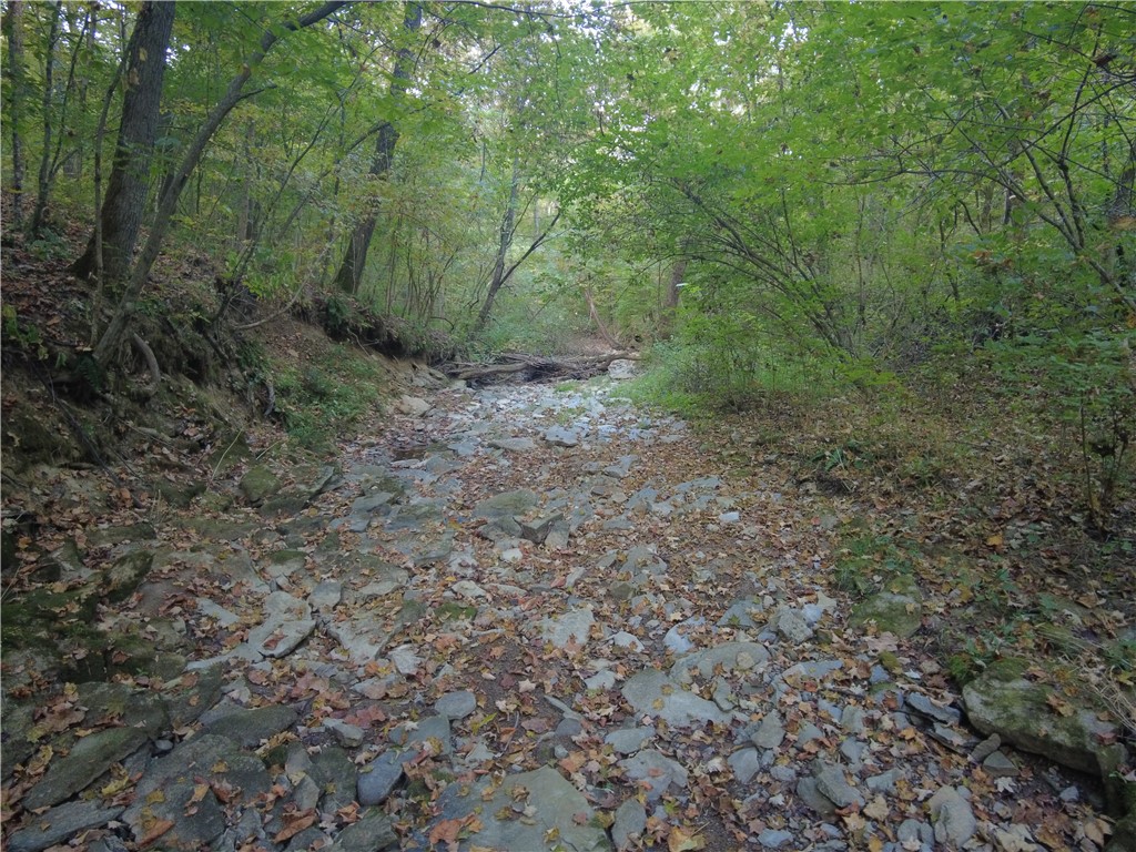 1147 Richey Road Felicity, OH 45120 - Photo 16 of 26 A natural stream bed winds through a tranquil, wooded landscape.
