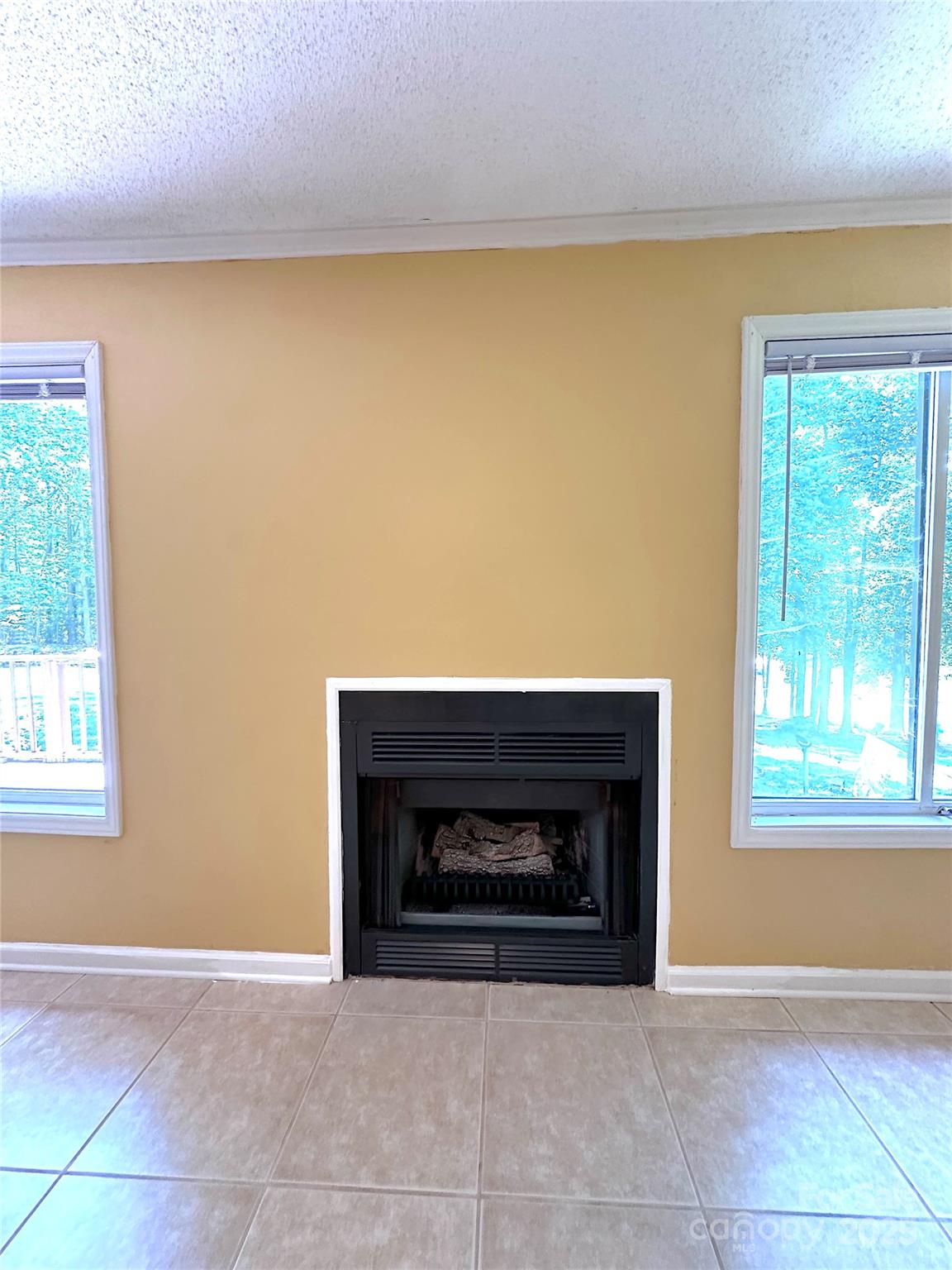 1590 Springpoint Road, Unit B Rock Hill, SC 29732 - Photo 24 of 39 a living room with a fireplace and a window