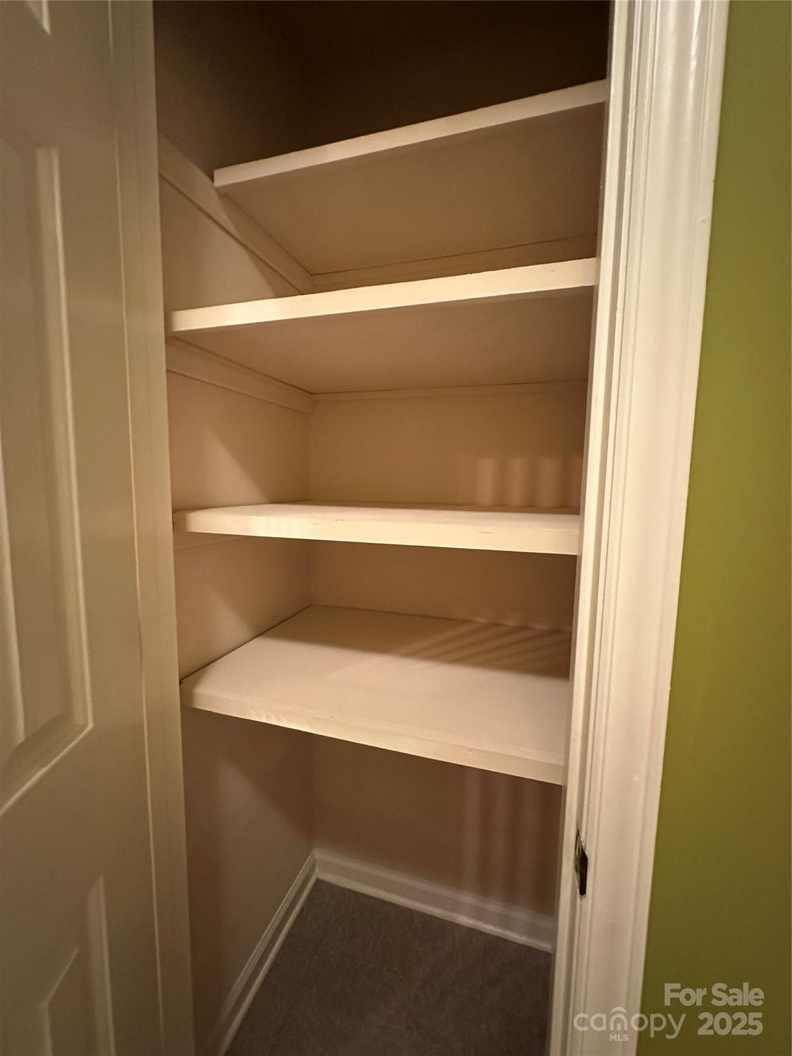 1590 Springpoint Road, Unit B Rock Hill, SC 29732 - Photo 31 of 39 a close view of closet