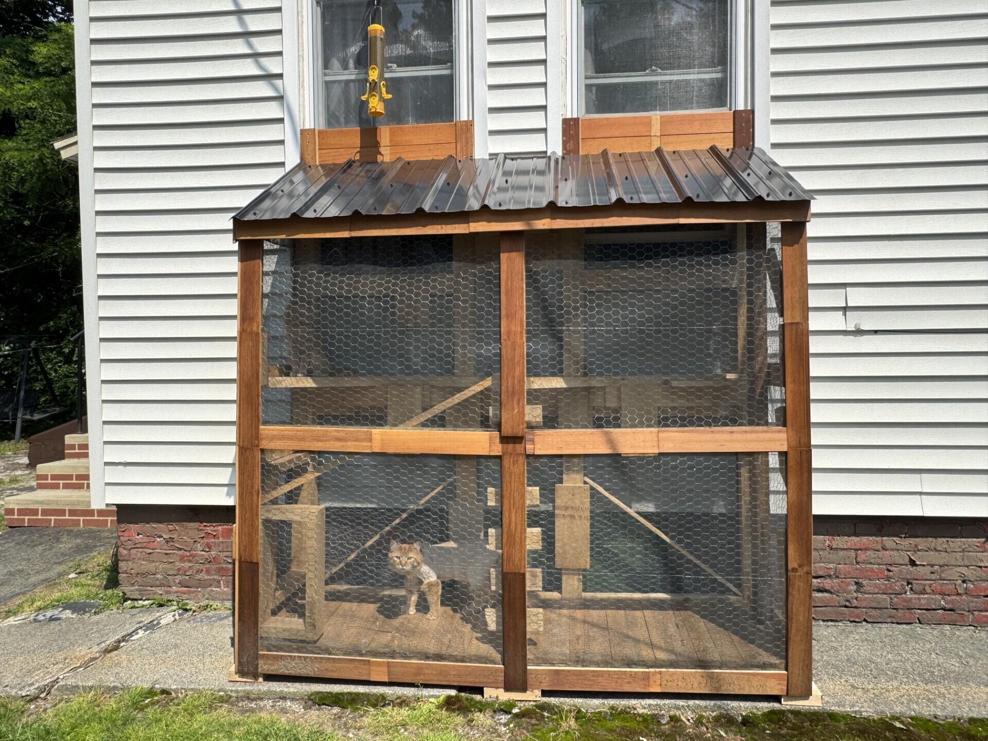 17 Bean Street Madison, ME 04950 - Photo 4 of 26 Cat space