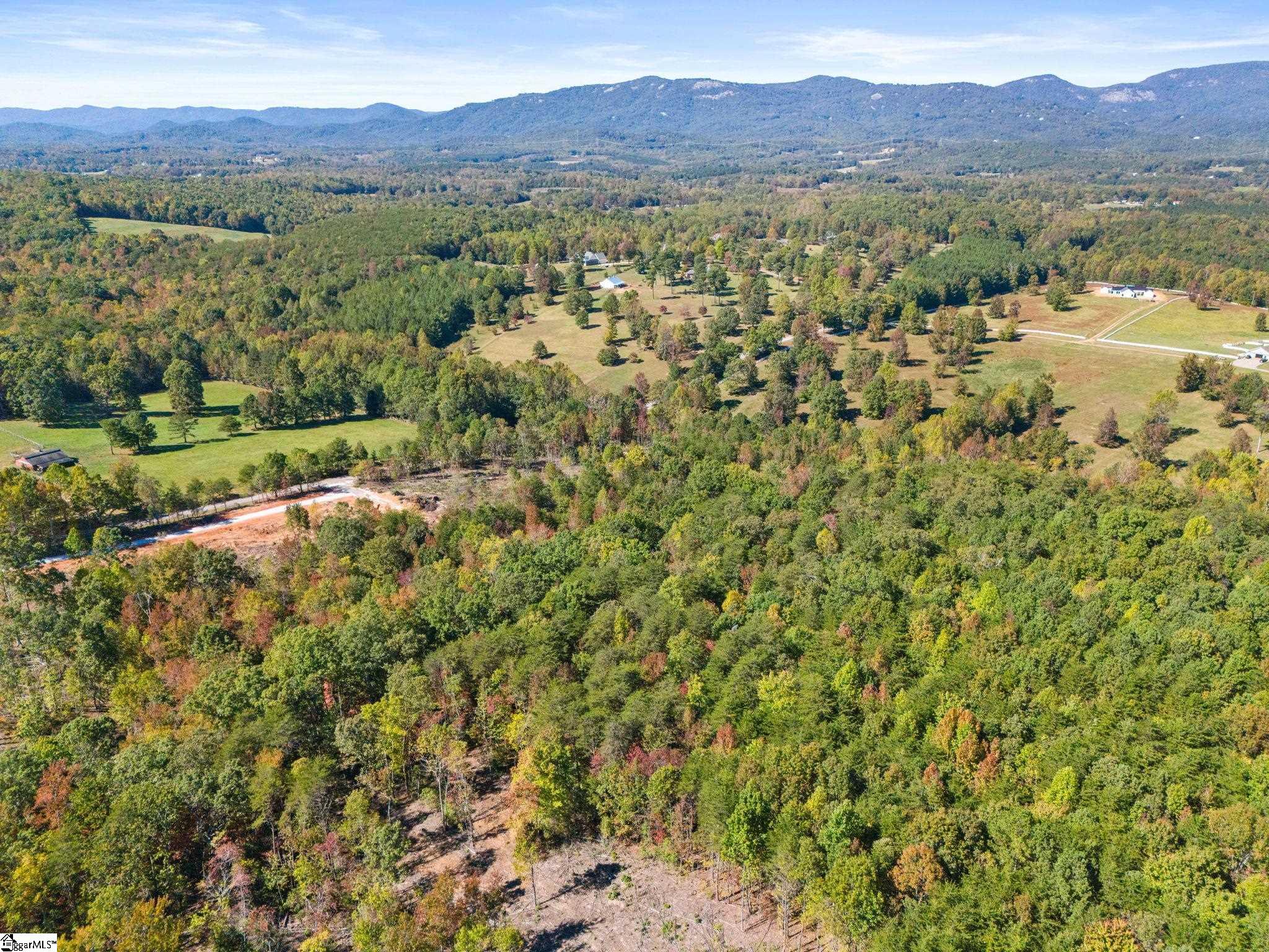 4493 Hawkins Road Greer, SC 29651 - Photo 15 of 24