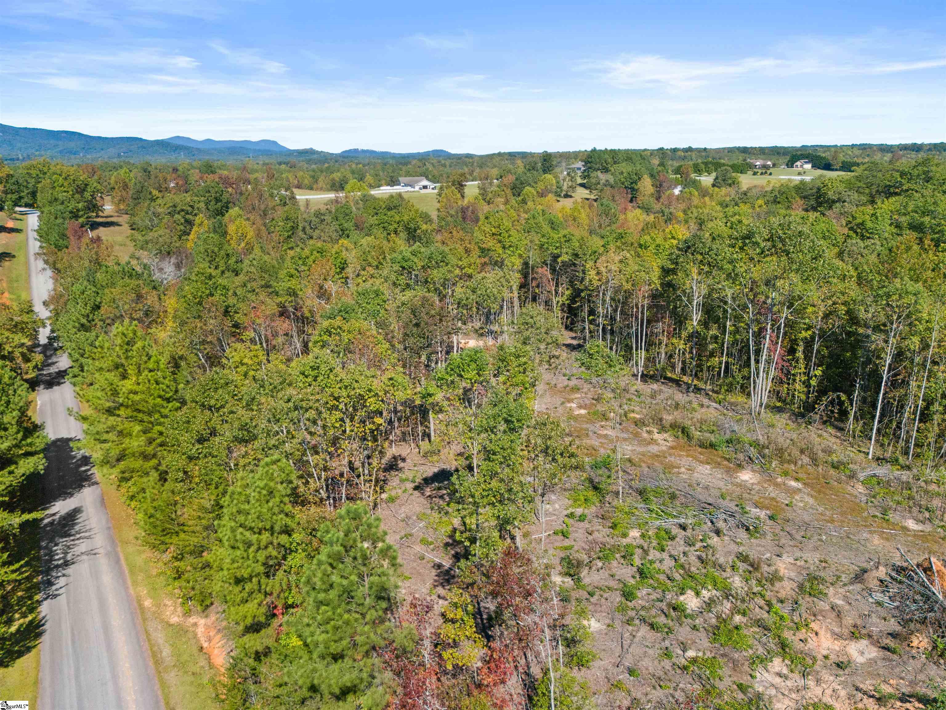 4493 Hawkins Road Greer, SC 29651 - Photo 3 of 24