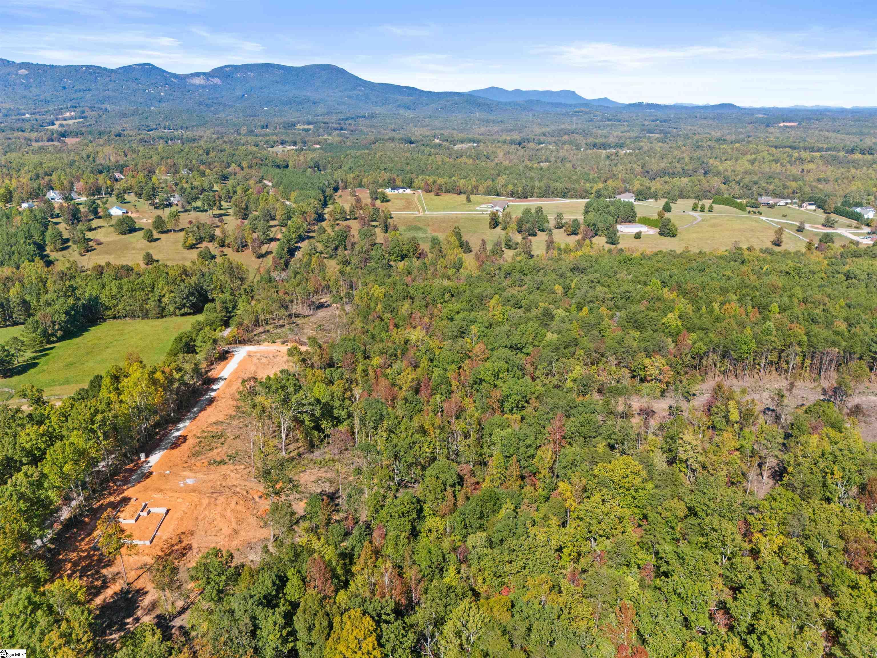 4493 Hawkins Road Greer, SC 29651 - Photo 5 of 24