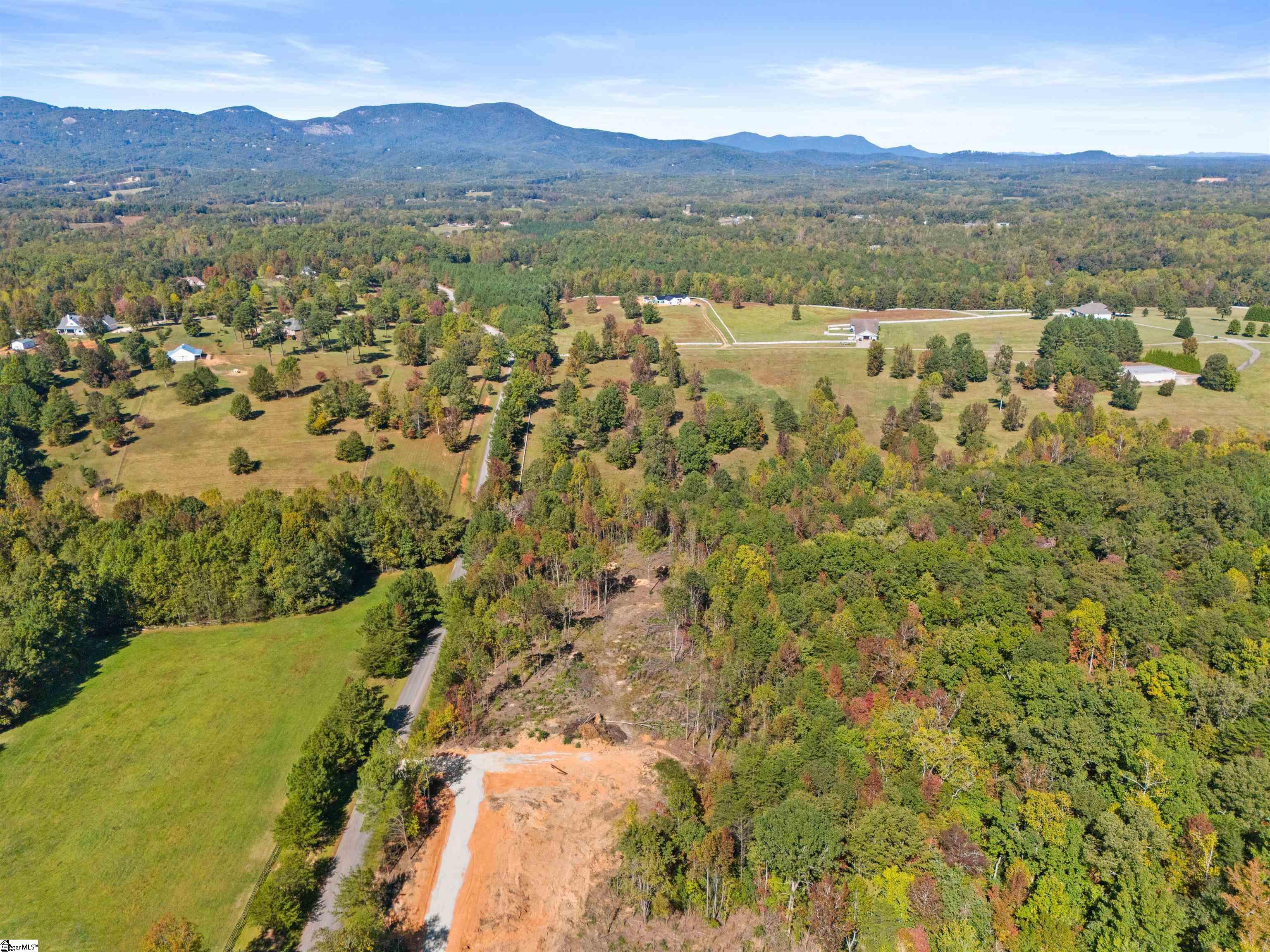 4493 Hawkins Road Greer, SC 29651 - Photo 10 of 24