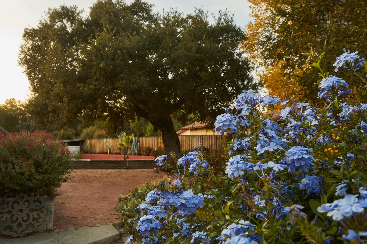 918 El Toro Road Ojai, CA 93023 - Photo 38 of 40