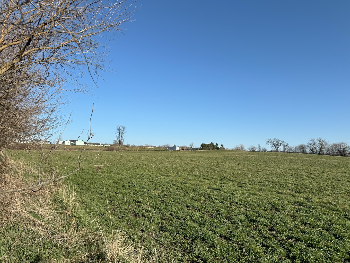 17N753 Widmayer Road Hampshire, IL 60140 - Photo 29 of 30