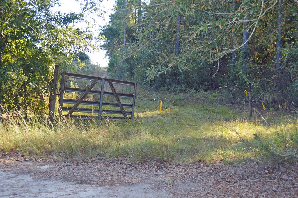 0 Greenhouse Road Gordon, AL 36343 - Photo 33 of 38