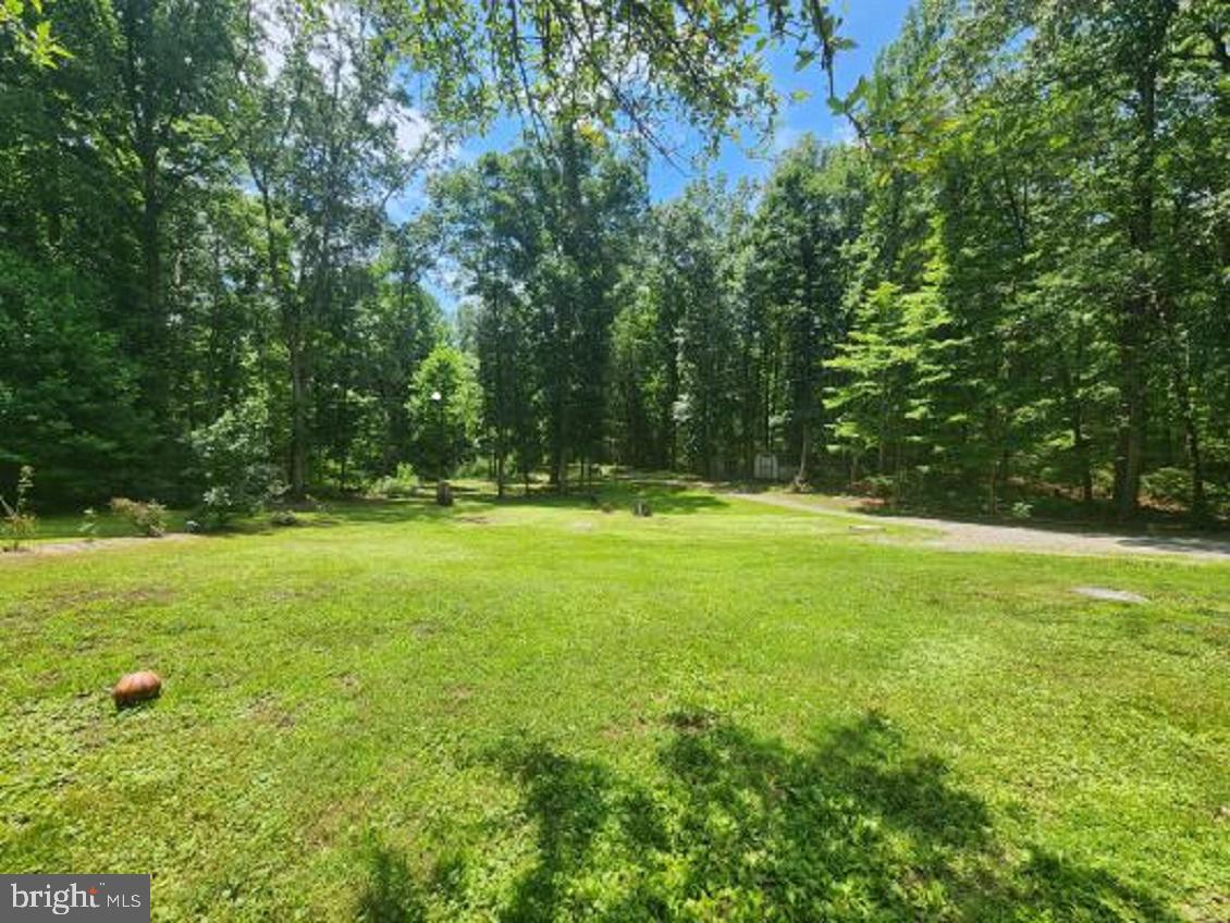 2070 Vawter Corner Road Louisa, VA 23093 - Photo 18 of 19 Gallery Image 18