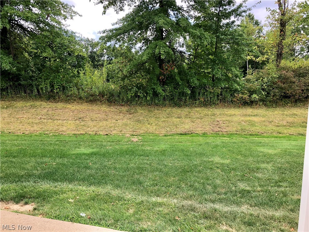 559 Wilcox Road, Unit A Austintown, OH 44515 - Photo 12 of 12 Gallery Image 12