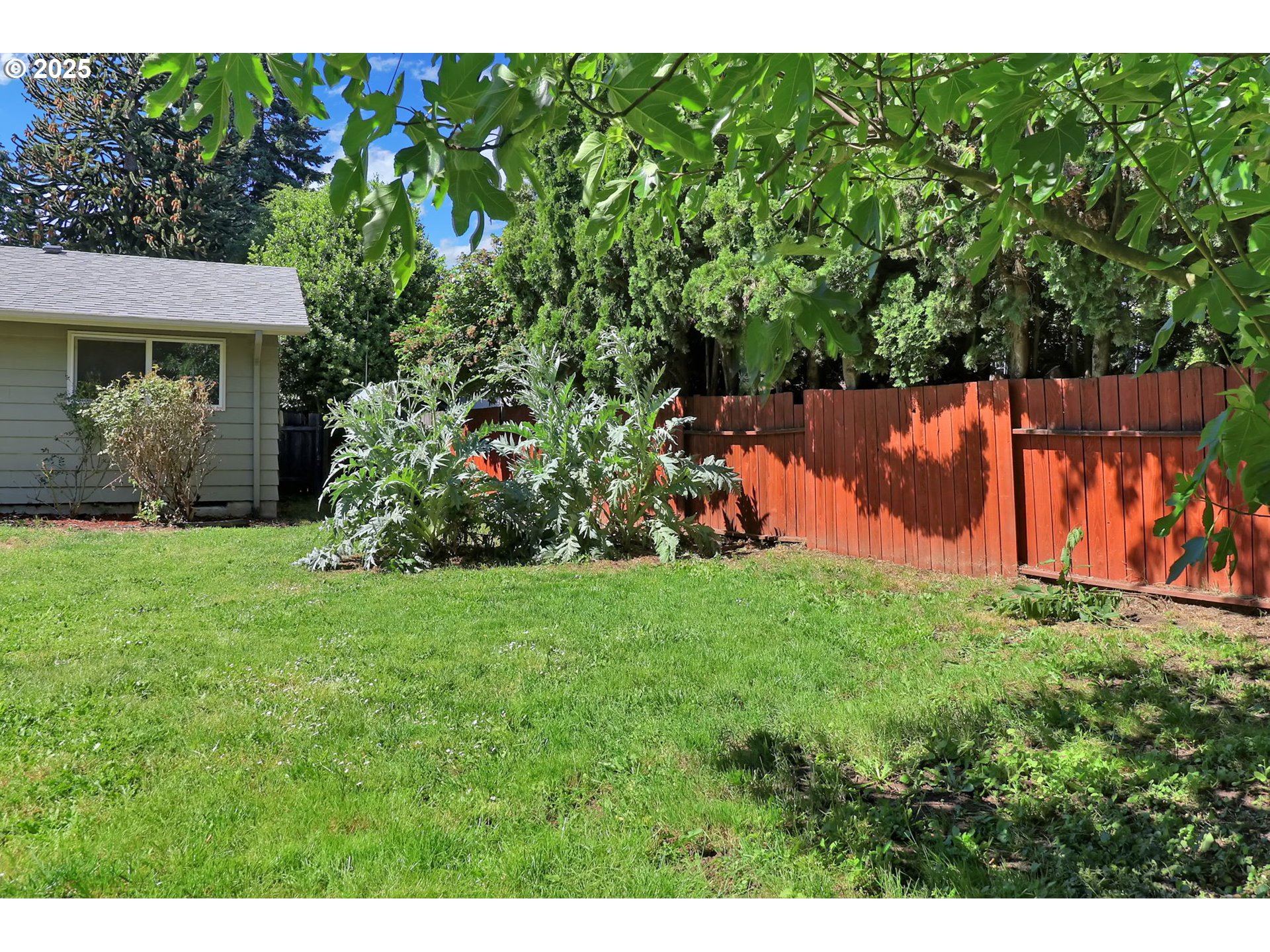 1437 Sequoia Avenue Springfield, OR 97477 - Photo 31 of 34 Backyard