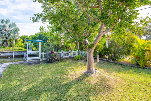 a view of a garden with plants