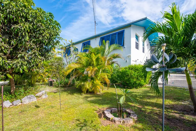 a vase with flowers in front of it