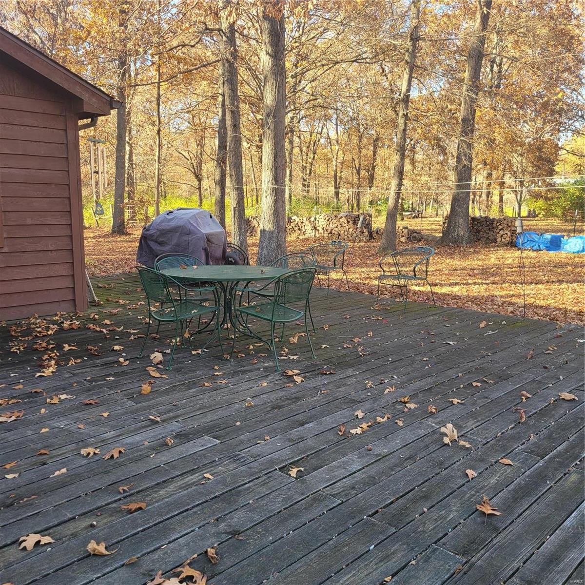 12766 Roseborough Road Sparta, IL 62286 - Photo 6 of 45