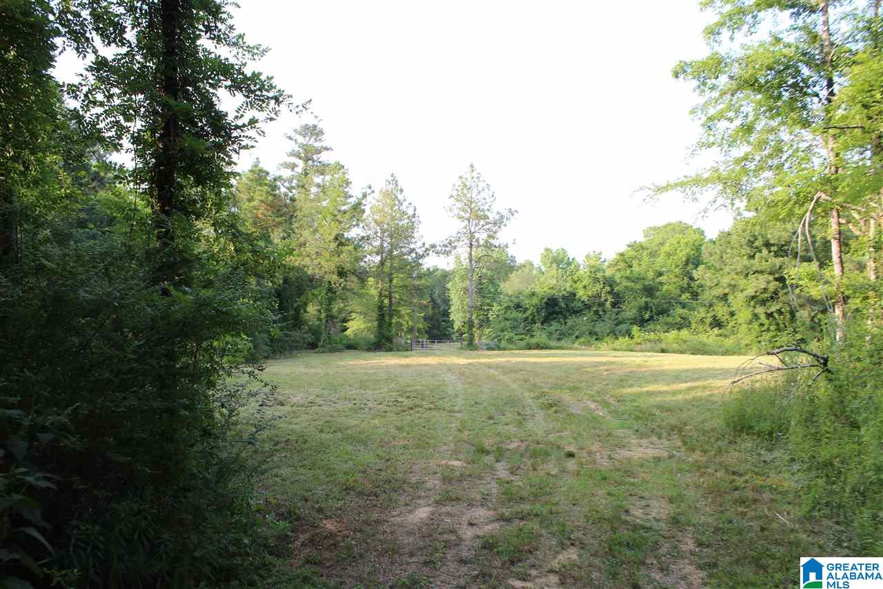 0 County Road 852 Bremen, AL 35033 - Photo 4 of 11