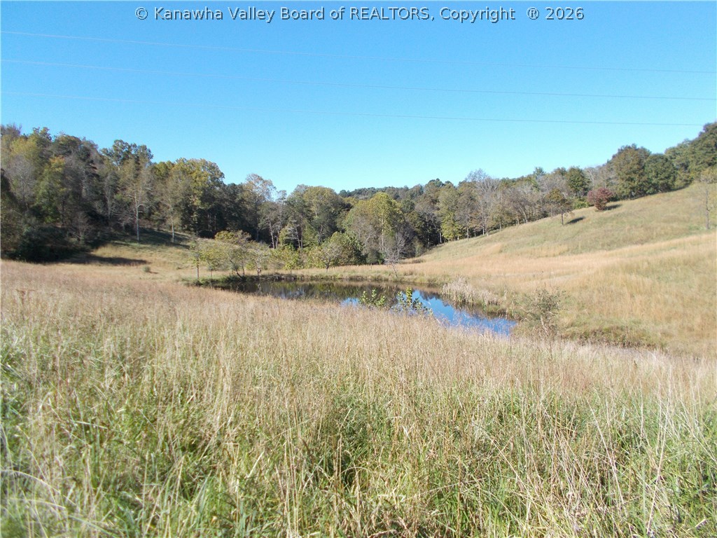 0 Flat Foot Road Apple Grove, WV 25502 - Photo 8 of 11 Gallery Image 8
