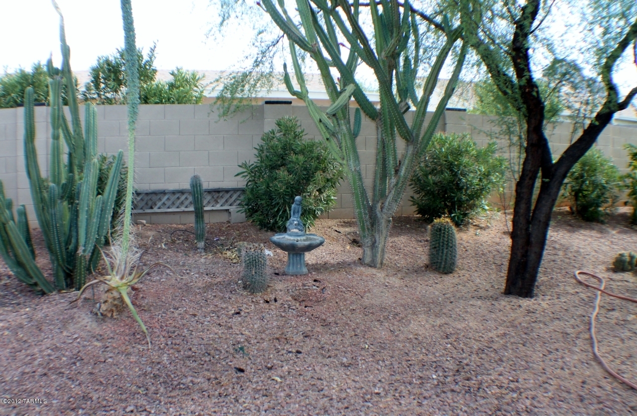 7733 West Rising Moon Way Tucson, AZ 85743 - Photo 16 of 18 Gallery Image 16