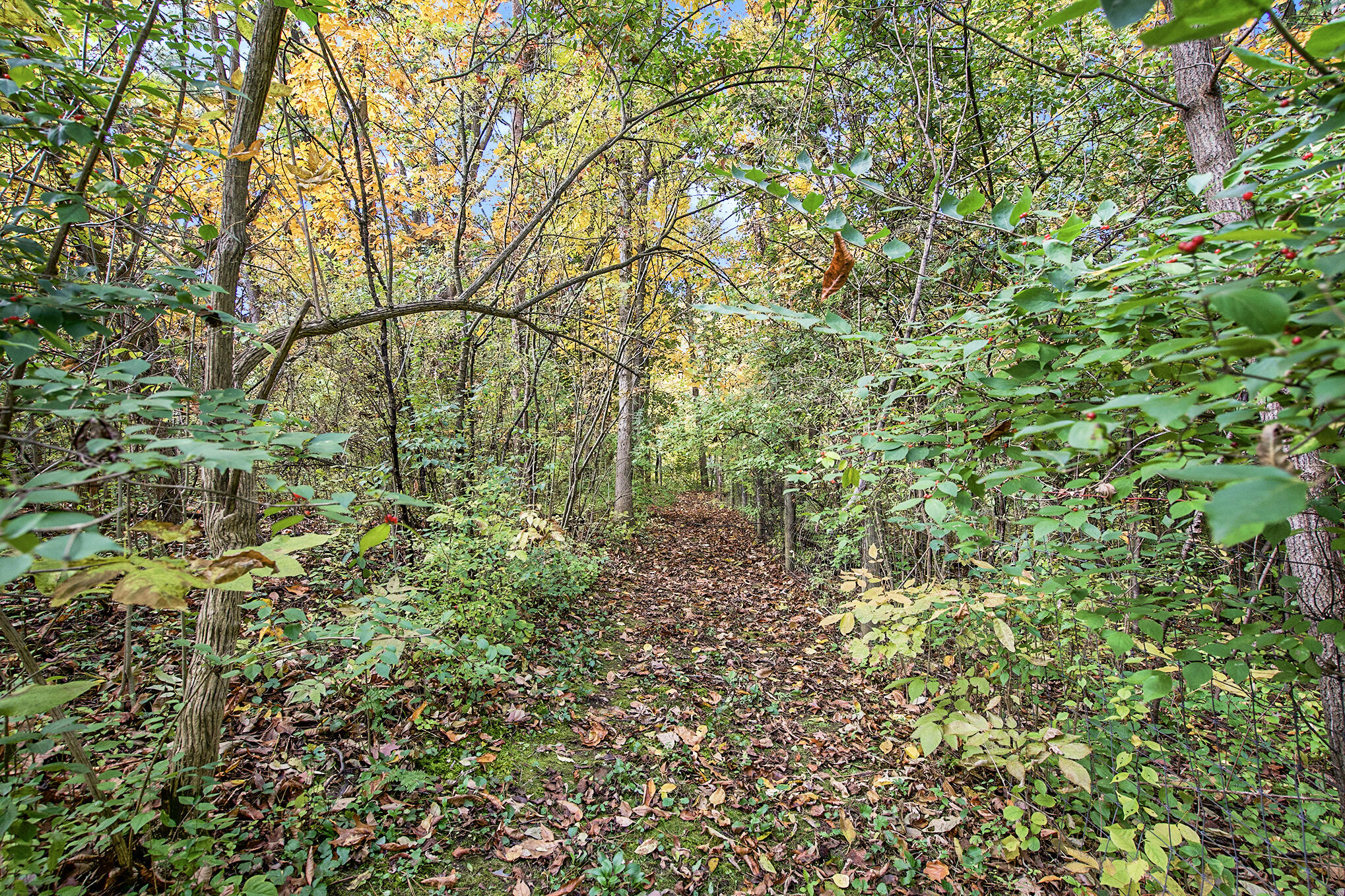 2730 Whitmore Lake Road Ann Arbor, MI 48105 - Photo 30 of 76 038_dsc08303