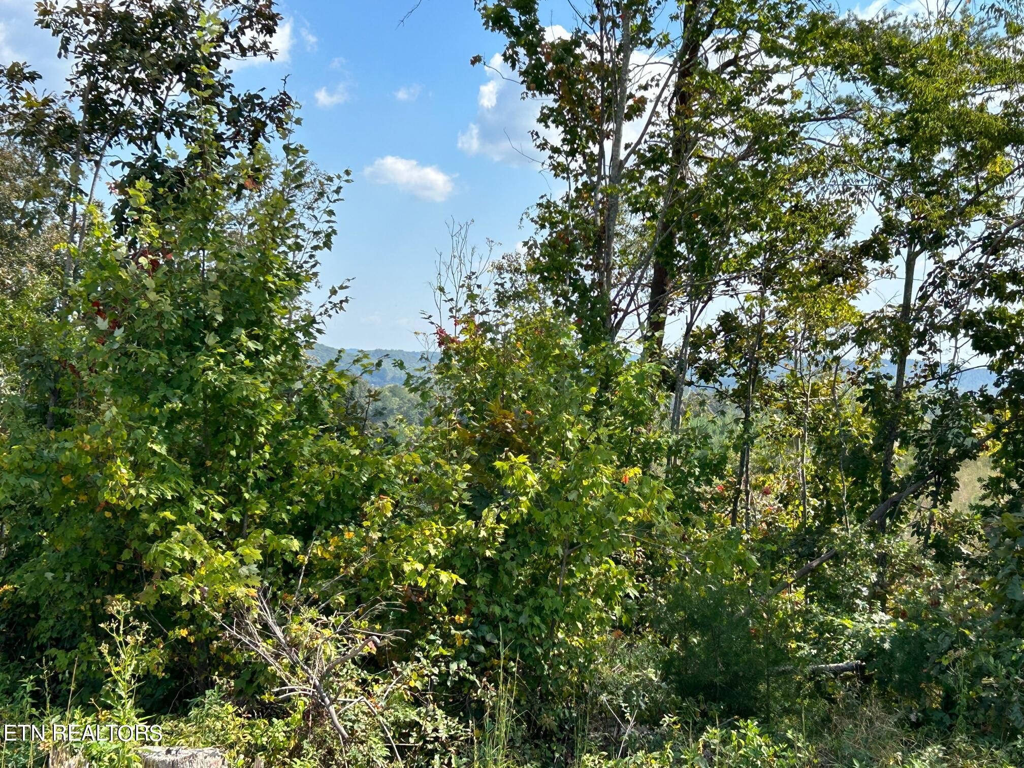 8 Euchee Road Ten Mile, TN 37880 - Photo 11 of 31 Gallery Image 11