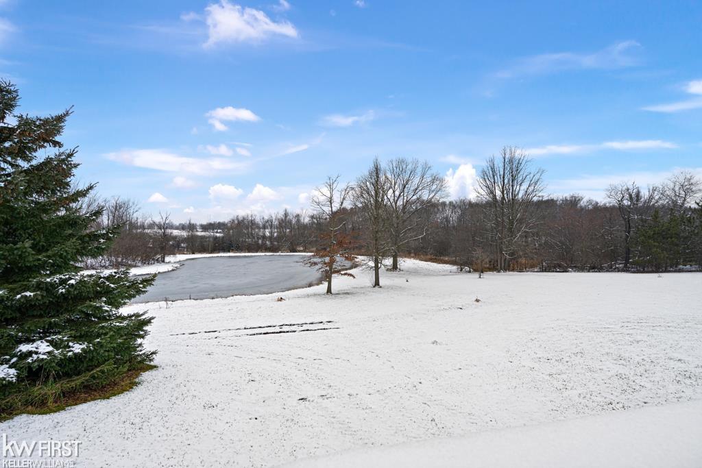 6735 Martin Road Imlay City, MI 48444 - Photo 44 of 49 Gallery Image 44