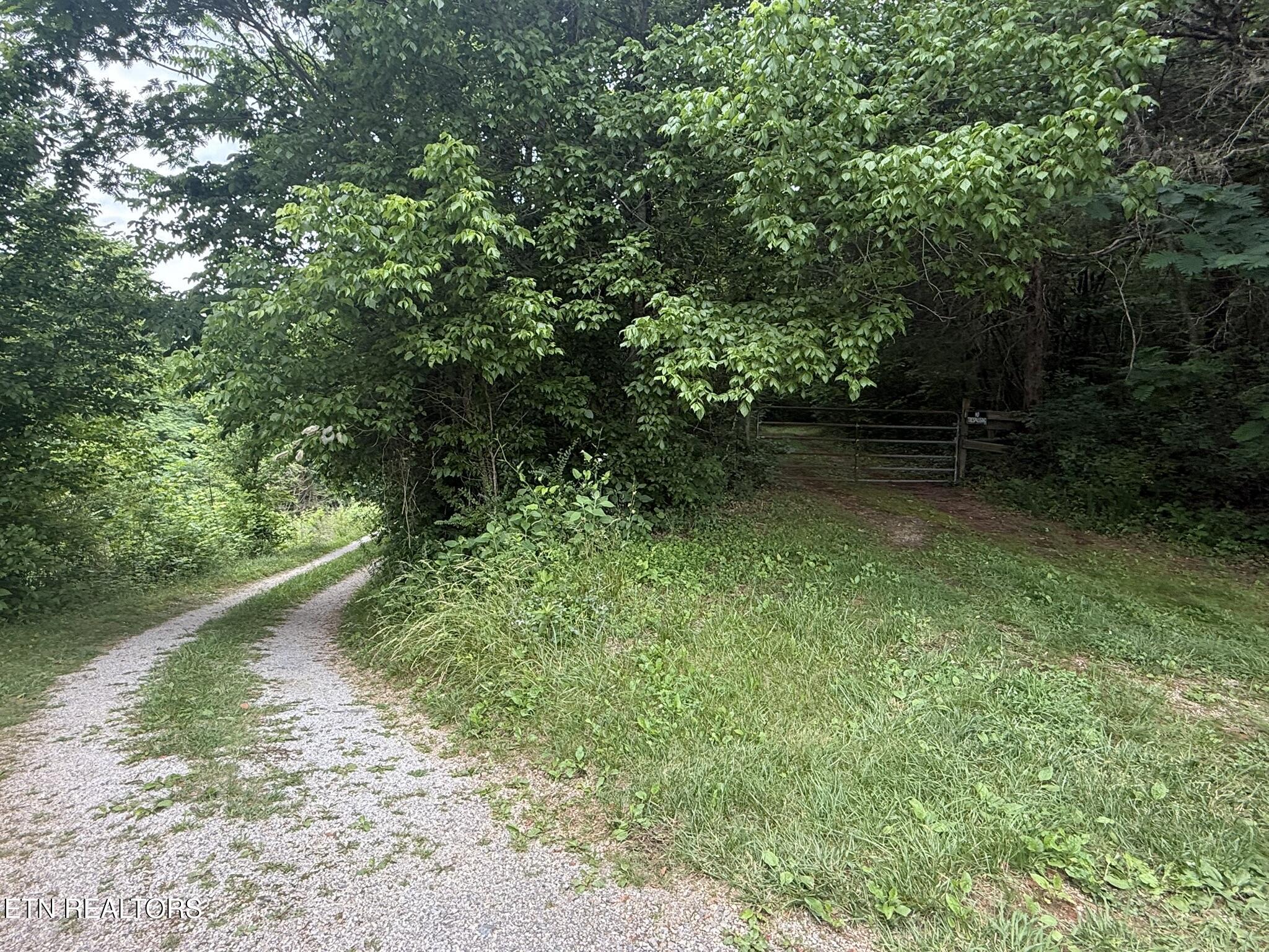 239 Towee Pike Reliance, TN 37369 - Photo 23 of 24 IMG_3437