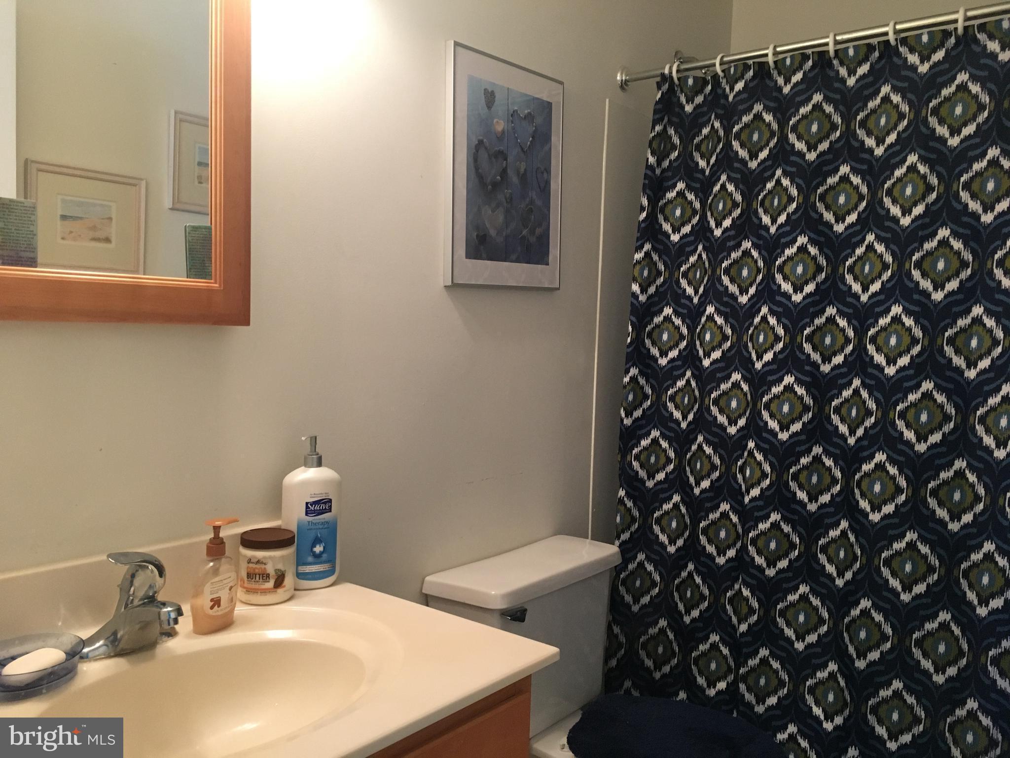 7110 Rutherford Green Circle Baltimore, MD 21244 - Photo 17 of 26 a bathroom with a sink and a mirror