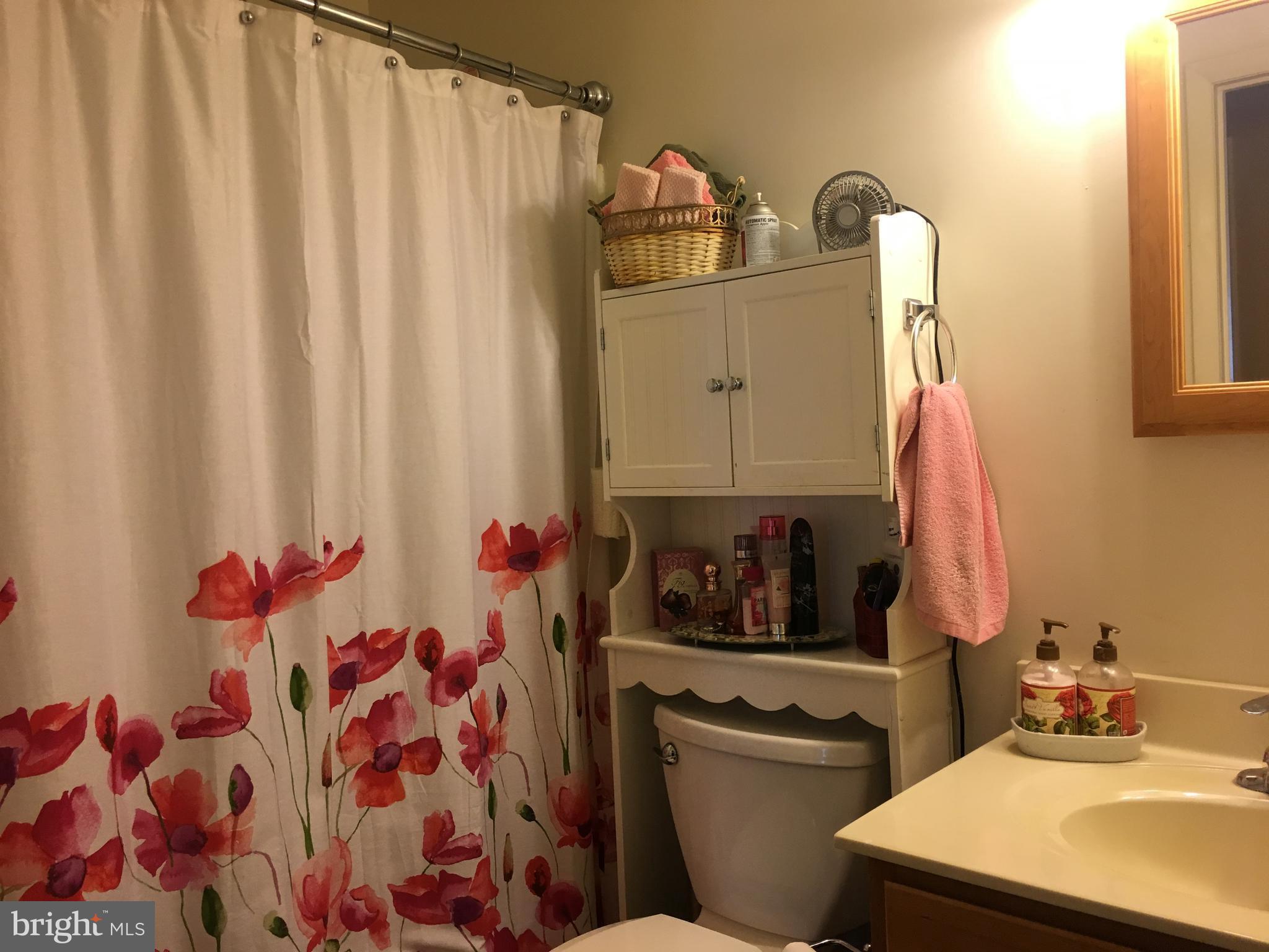 7110 Rutherford Green Circle Baltimore, MD 21244 - Photo 18 of 26 a bathroom with a sink toilet and shower curtain