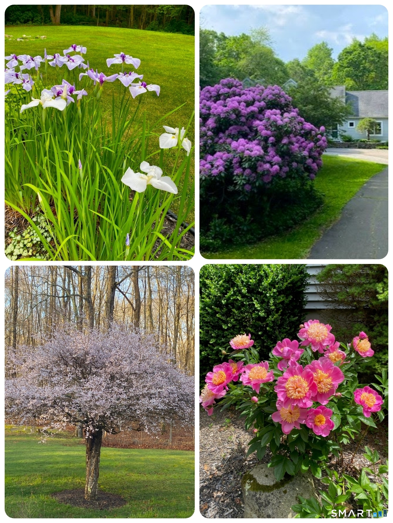 29 Welsch Farms Road Killingworth, CT 06419 - Photo 40 of 40 Flowering trees, shrubs and perennials throughout seasons