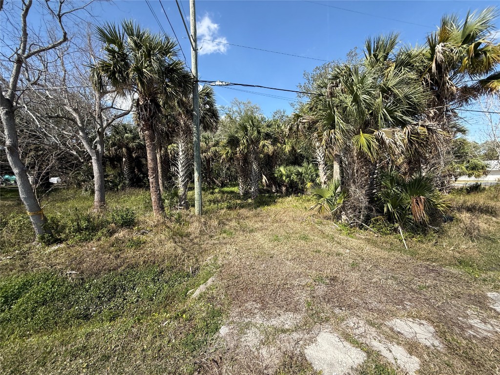 9067 Heckscher Drive Jacksonville, FL 32226 - Photo 4 of 6