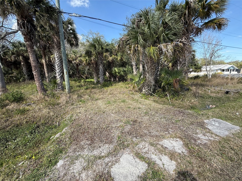 9067 Heckscher Drive Jacksonville, FL 32226 - Photo 6 of 6