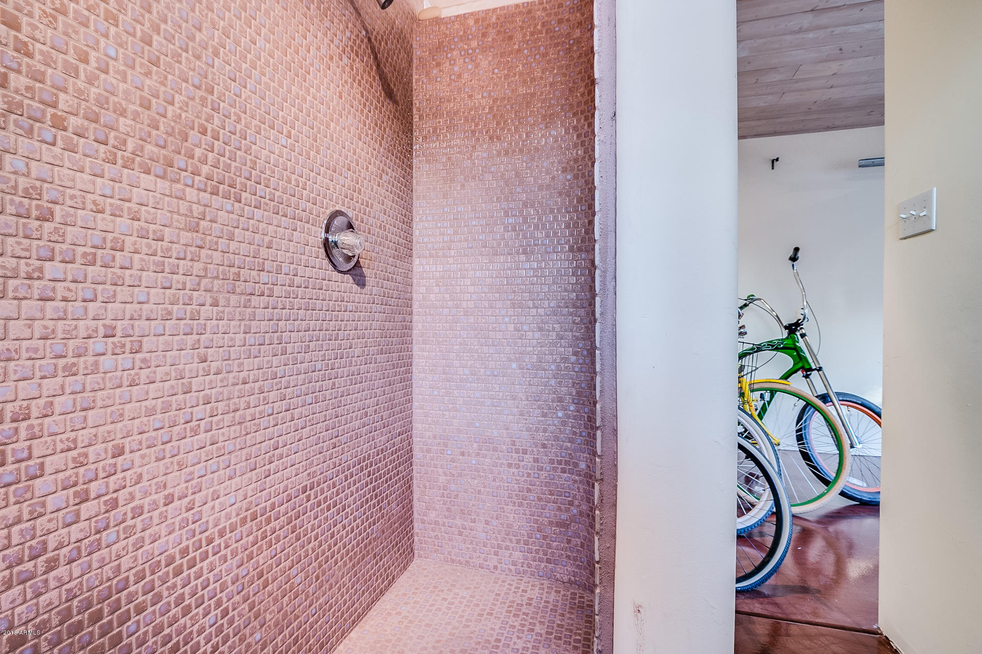 314 West Coronado Road Phoenix, AZ 85003 - Photo 29 of 40 Casita Walk-in Shower