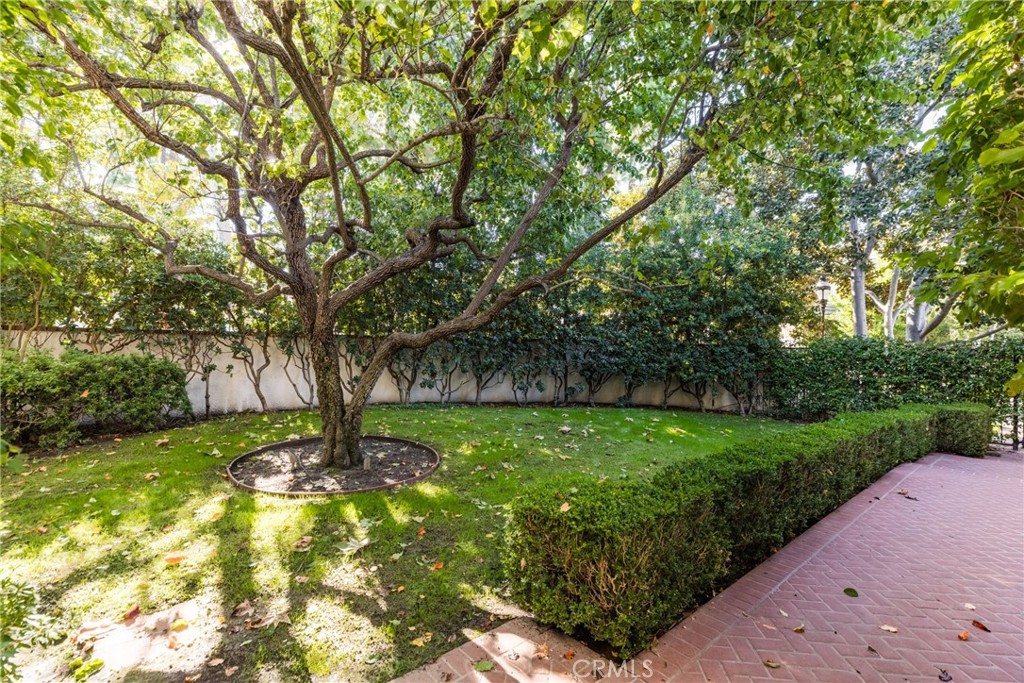 12386 Ridge Circle Los Angeles, CA 90049 - Photo 47 of 56 a view of a garden with a tree