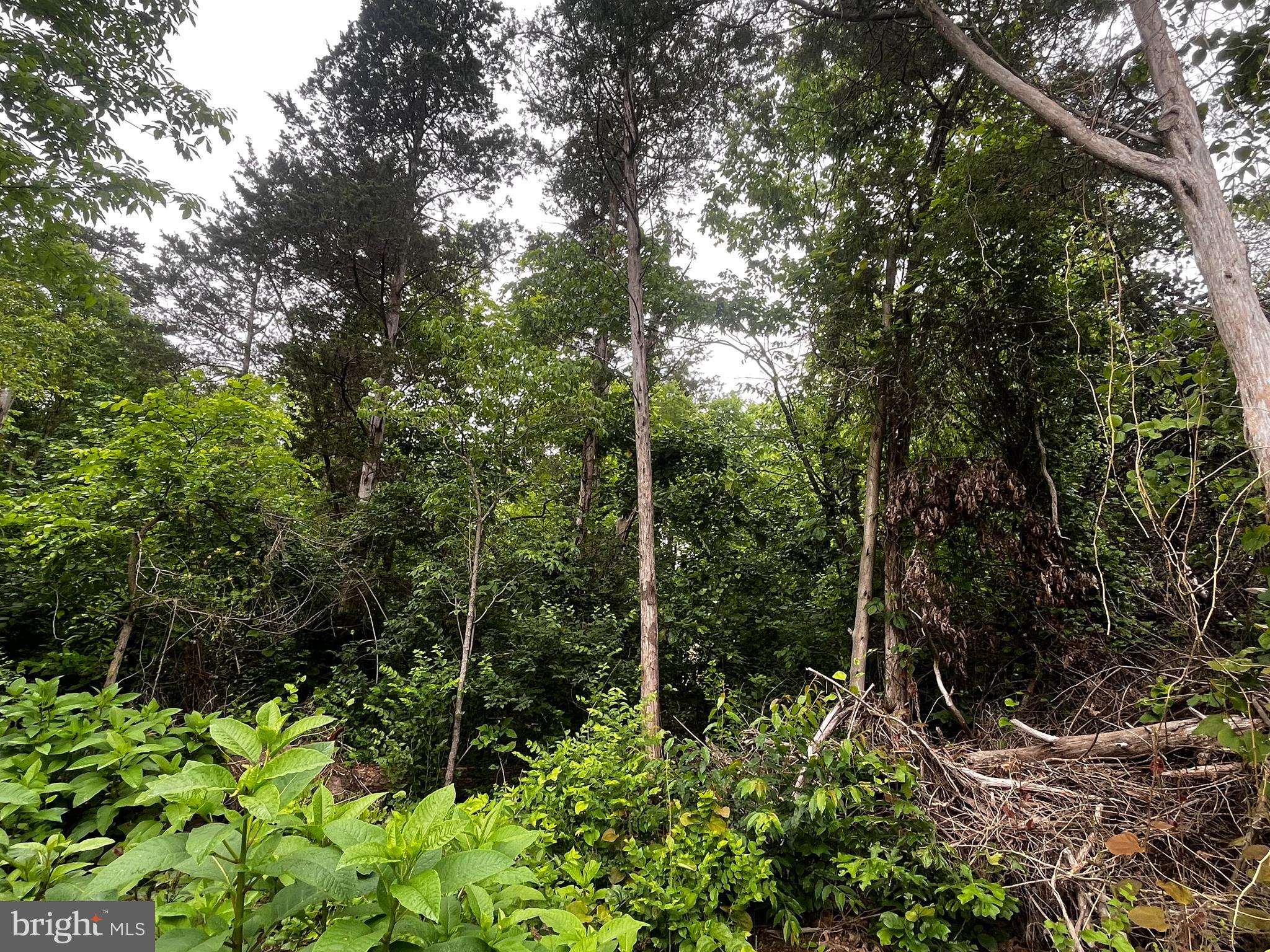 Compton Road Centreville, VA 20121 - Photo 2 of 2