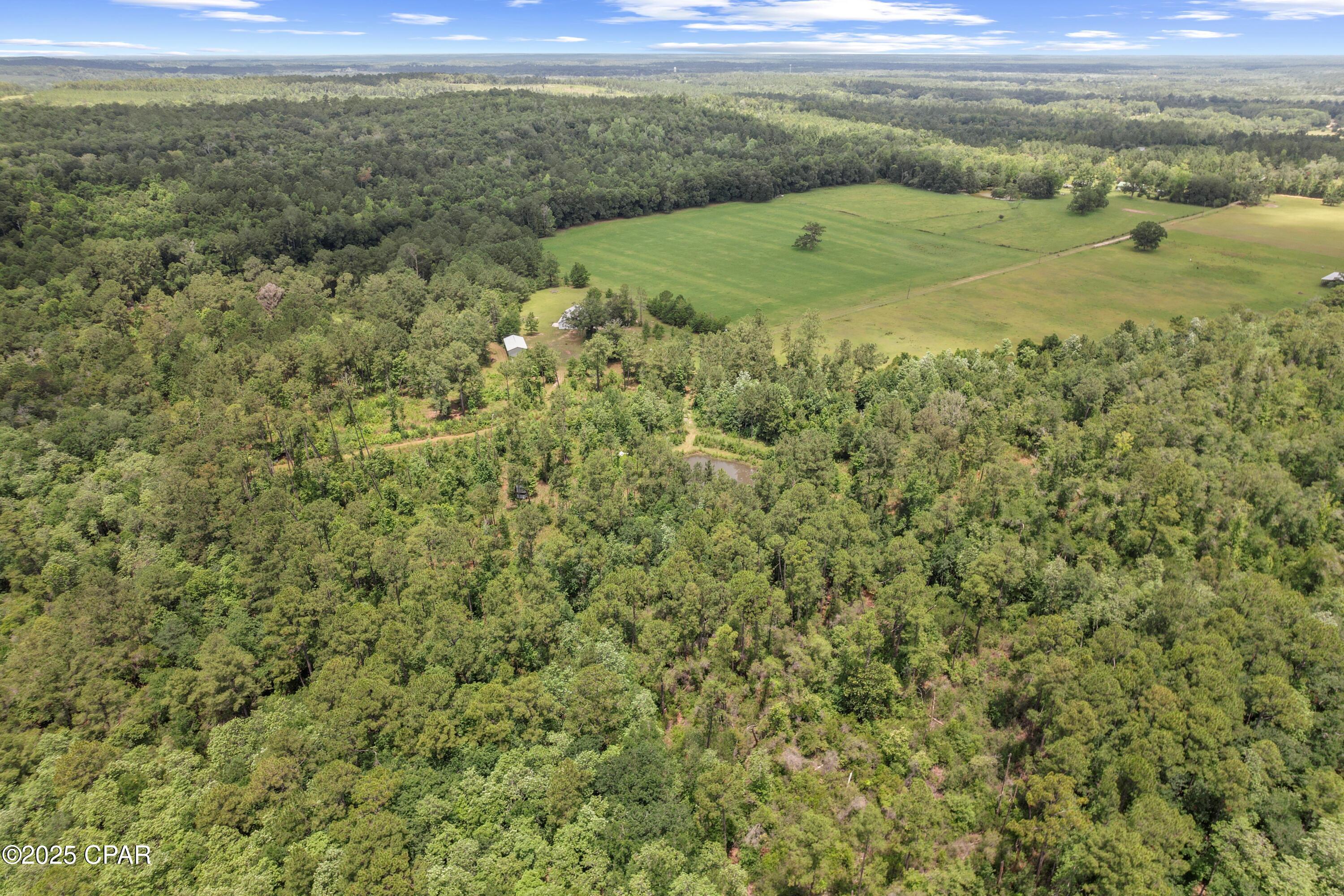 1653 Ledger Road Chipley, FL 32428 - Photo 2 of 46