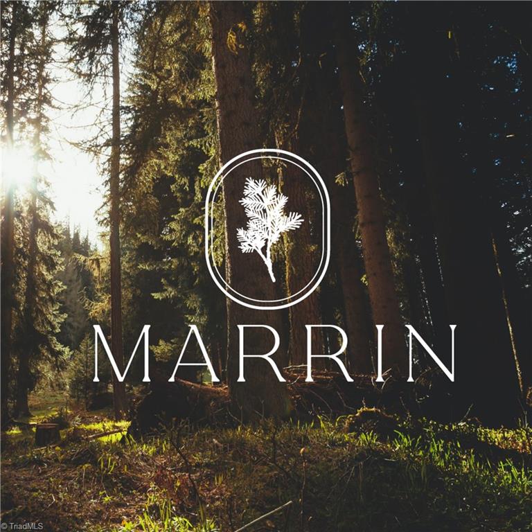 539 Doub Road Lewisville, NC 27023 - Photo 8 of 8