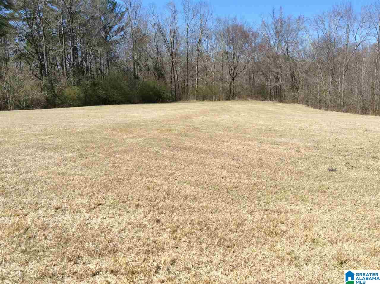0 Coats Bend Road, Unit 1 Gadsden, AL 35901 - Photo 9 of 20
