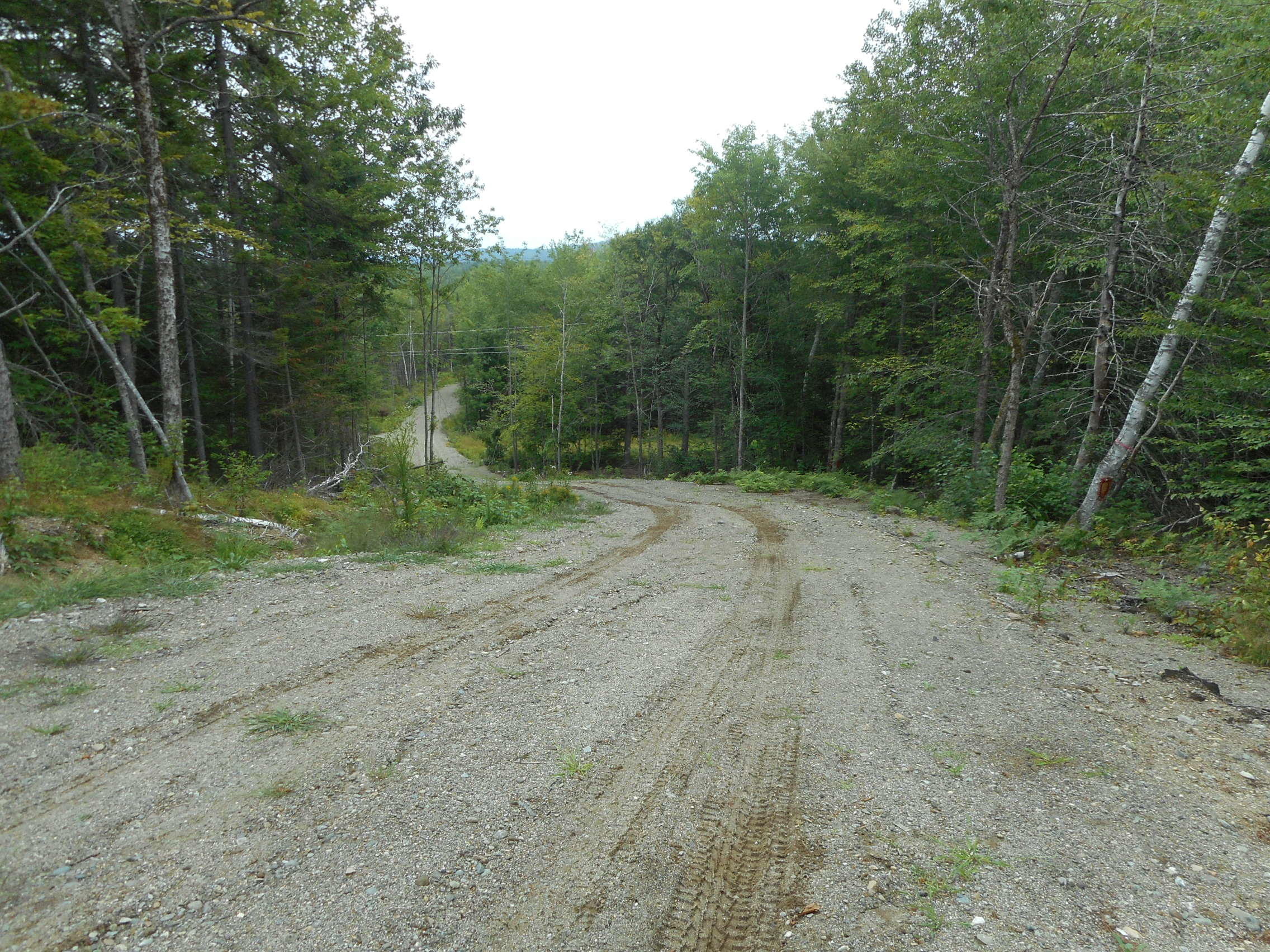 Lot 8-31 Keene Road Lincoln, ME 04457 - Photo 3 of 7 DSCN2715
