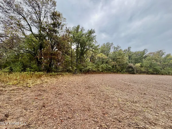 $220,000 | Youngblood Road, Dundee, MS 38626