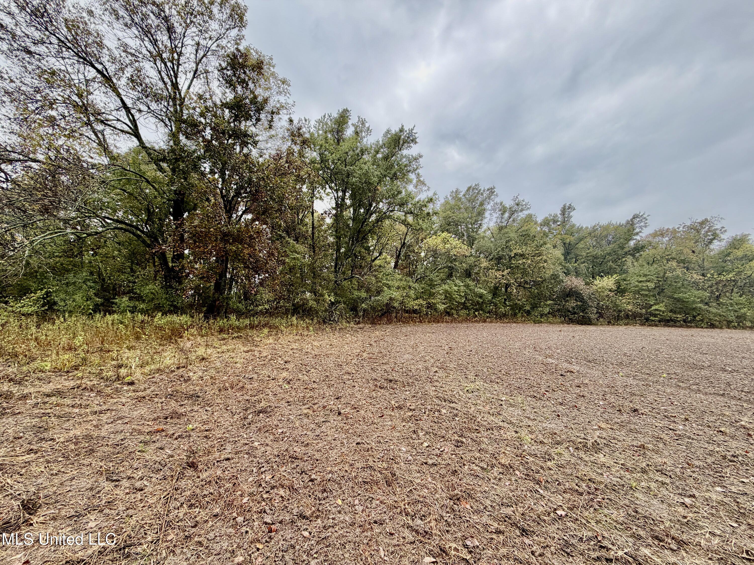 Youngblood Road Dundee, MS 38626 - Photo 2 of 10 IMG_0317
