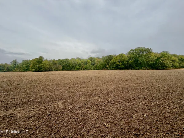 $220,000 | Youngblood Road, Dundee, MS 38626