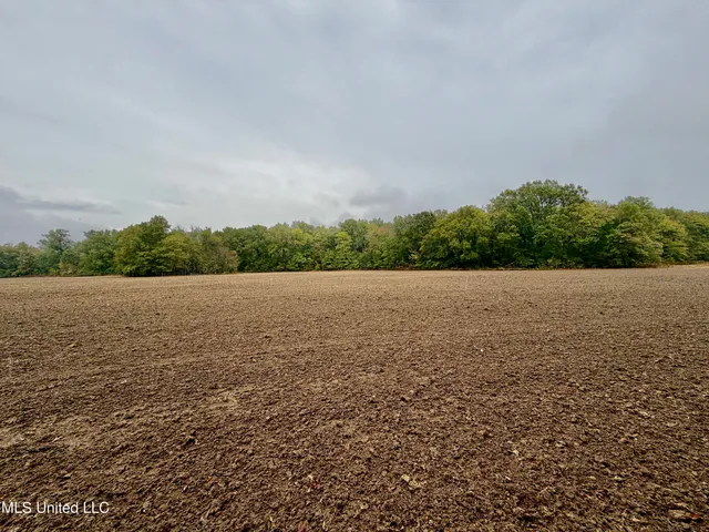 $220,000 | Youngblood Road, Dundee, MS 38626