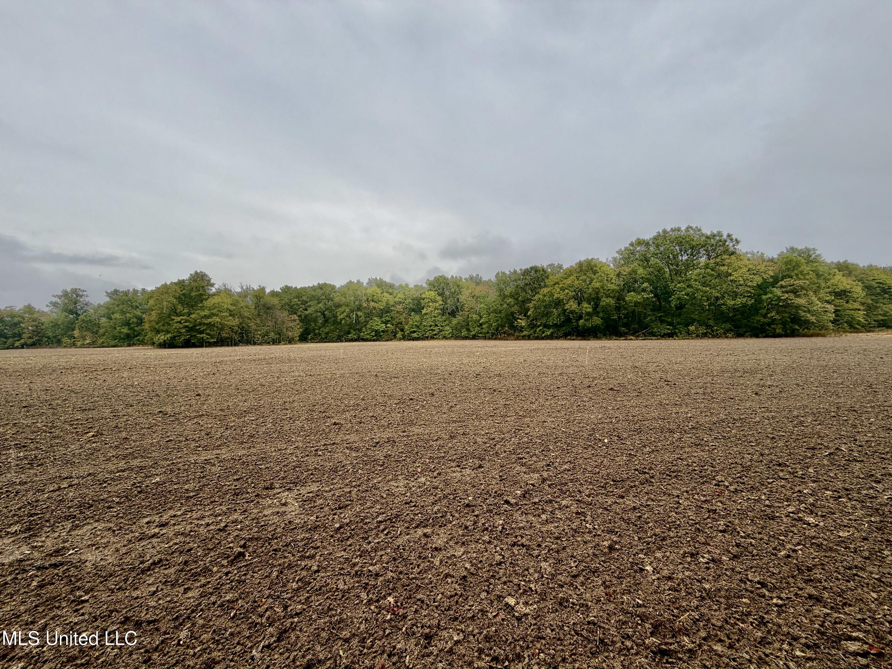 Youngblood Road Dundee, MS 38626 - Photo 3 of 10 IMG_0320