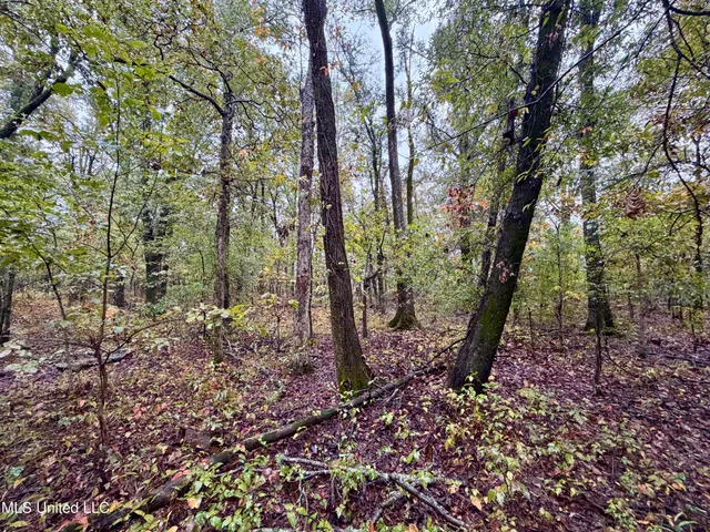 $220,000 | Youngblood Road, Dundee, MS 38626