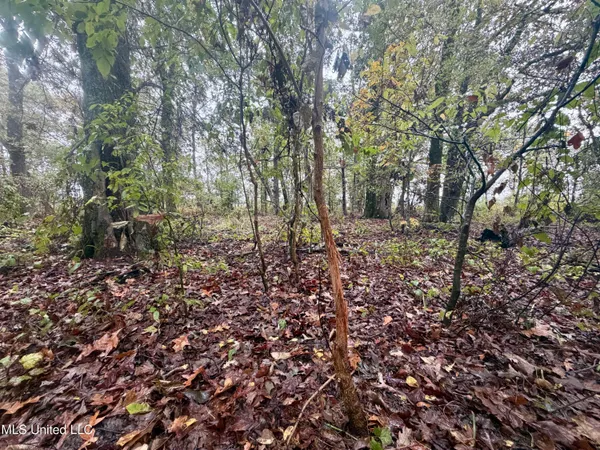 $220,000 | Youngblood Road, Dundee, MS 38626