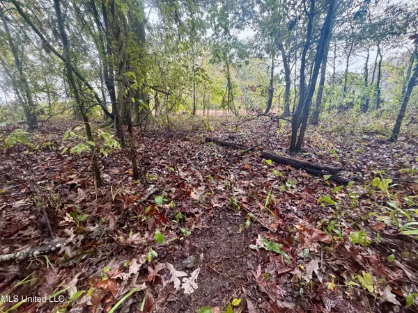 $220,000 | Youngblood Road, Dundee, MS 38626