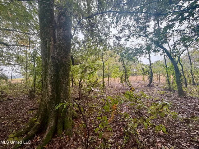 $220,000 | Youngblood Road, Dundee, MS 38626