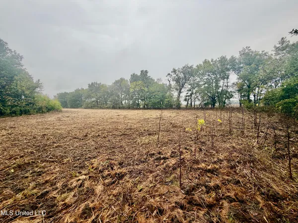 $220,000 | Youngblood Road, Dundee, MS 38626