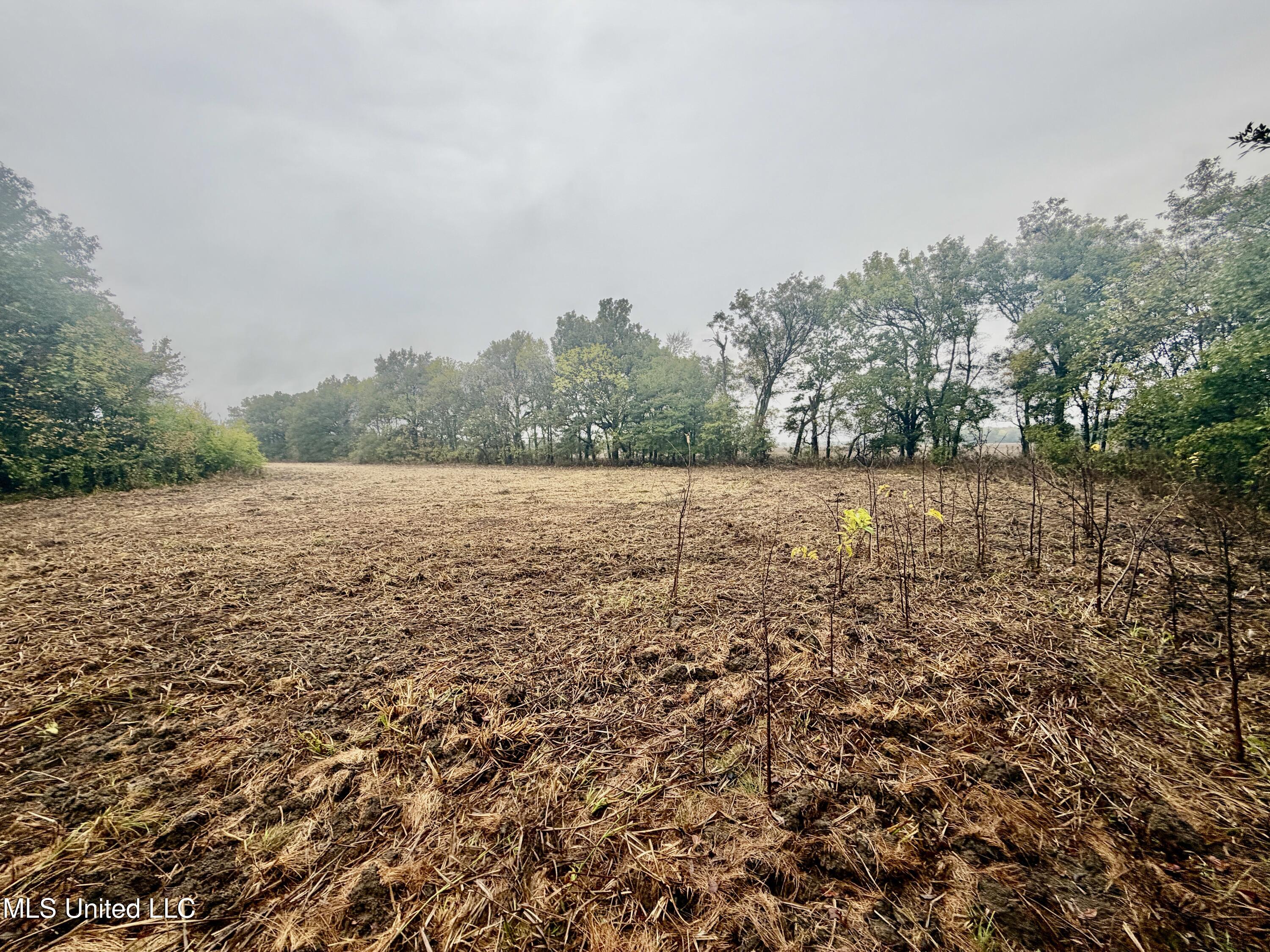 Youngblood Road Dundee, MS 38626 - Photo 9 of 10 IMG_0327